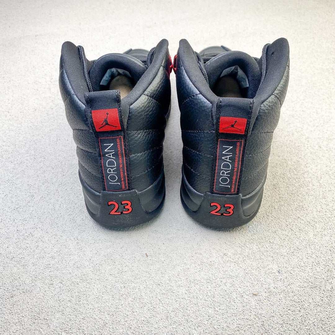 Air Jordan 12 Retro "Bloodline"