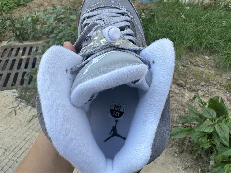 Jordan 5 Retro "Wolf Grey / Stealth"