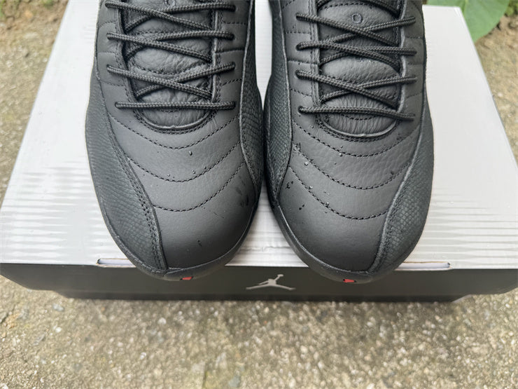Air Jordan 12 Retro "Bloodline"