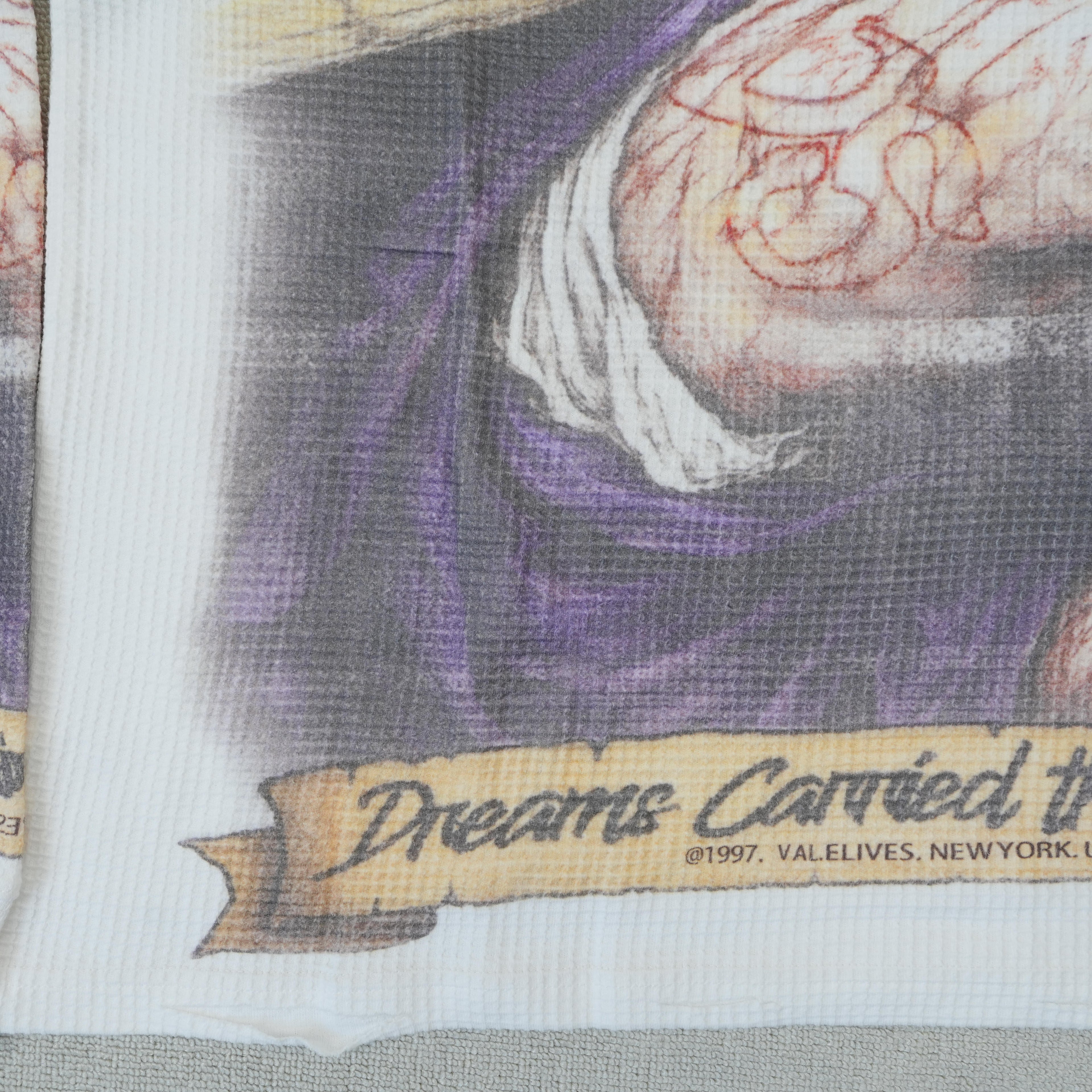 Camiseta Manga Larga Valley Dreams – Dreams Carried The Cross