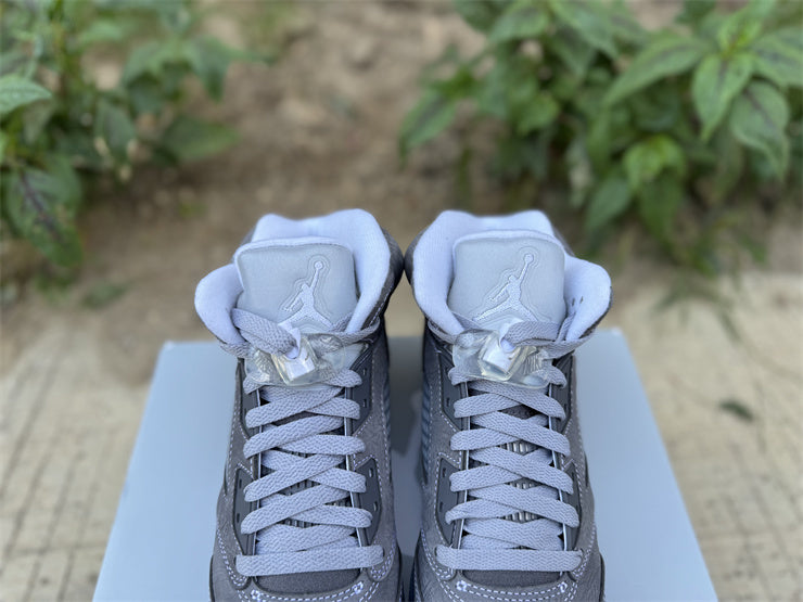 Jordan 5 Retro "Wolf Grey / Stealth"