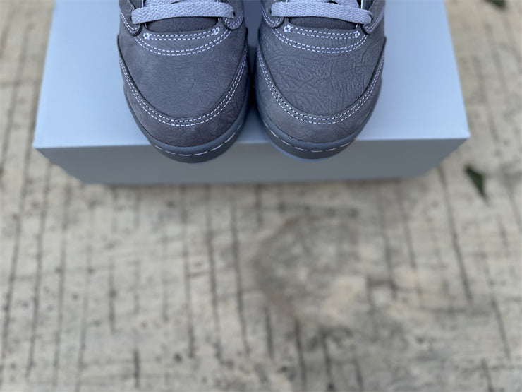 Jordan 5 Retro "Wolf Grey / Stealth"