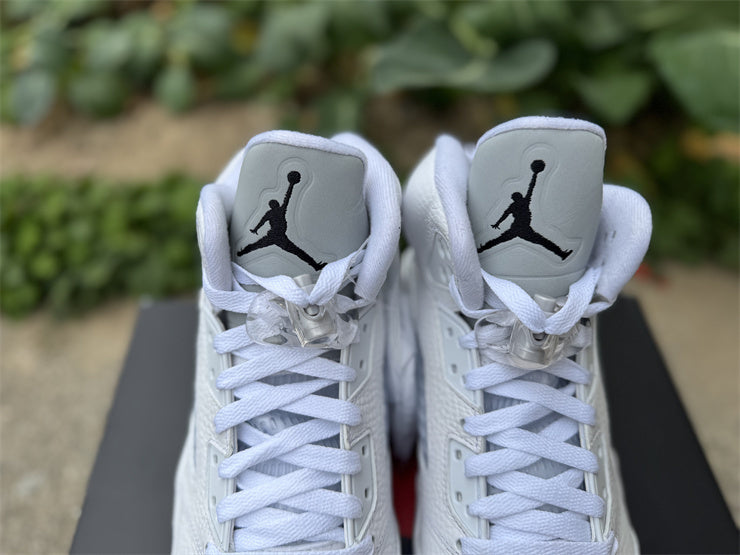 Jordan 5 Retro "Metallic White"