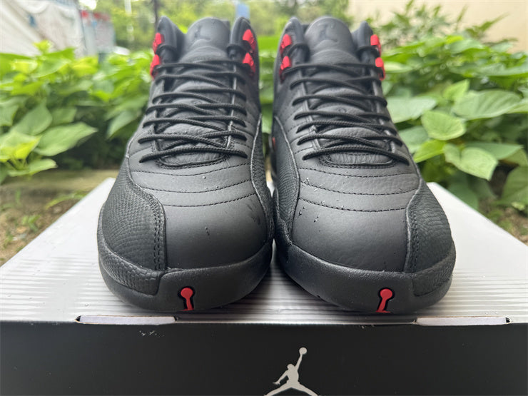 Air Jordan 12 Retro "Bloodline"